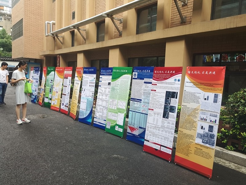 1529318101177290.jpg 1.1.jpg